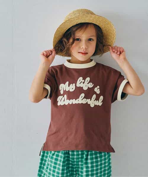 フェルトリンガーT リンク