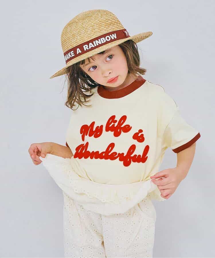 フェルトリンガーT リンク