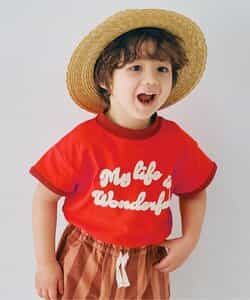 フェルトリンガーT リンク