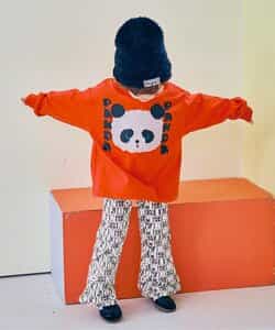 レトロぬいフォトPTロンT_923570