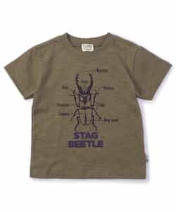 STAG BEETLE Tシャツ