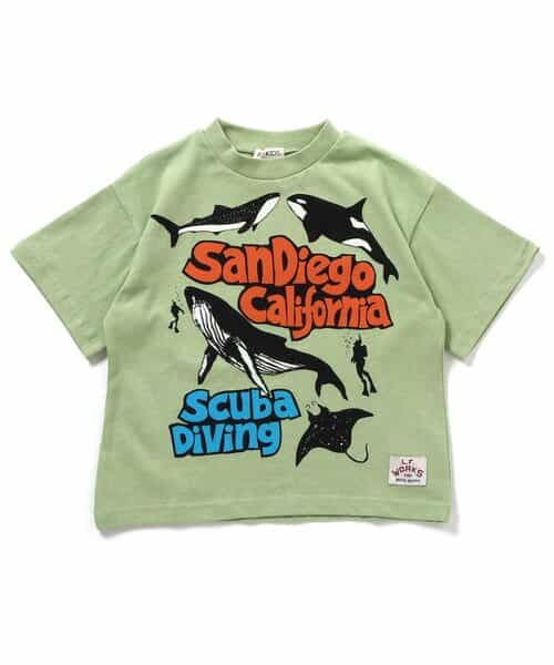 海の生き物　Tシャツ