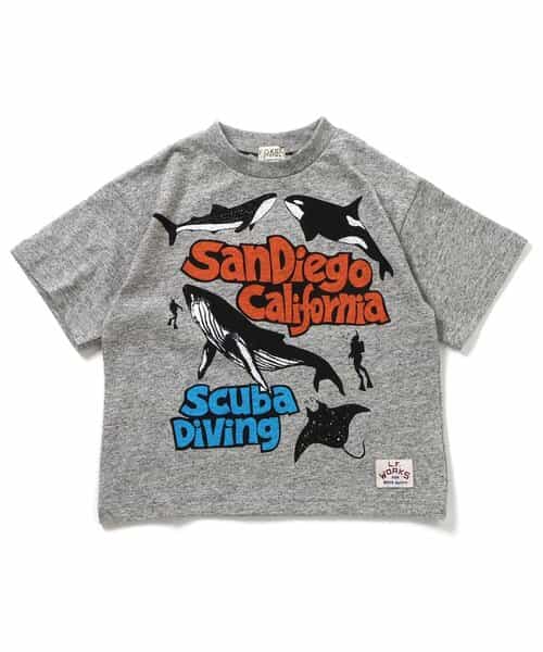海の生き物　Tシャツ