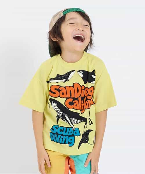 海の生き物　Tシャツ