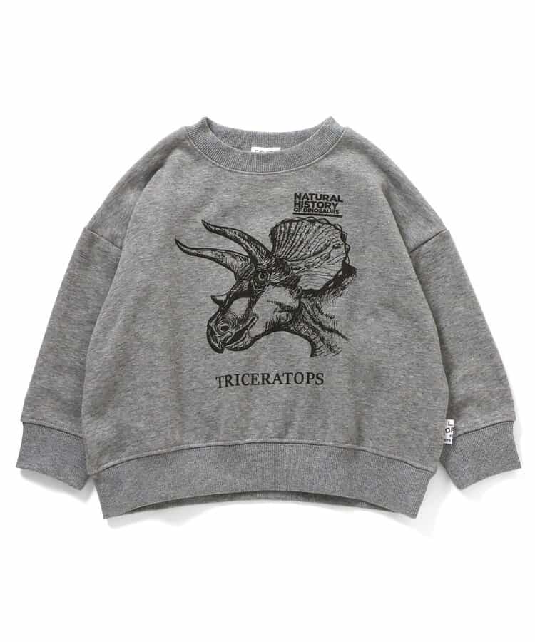 3色3柄DINOトレーナー