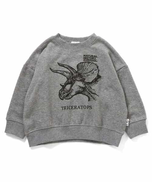 3色3柄DINOトレーナー