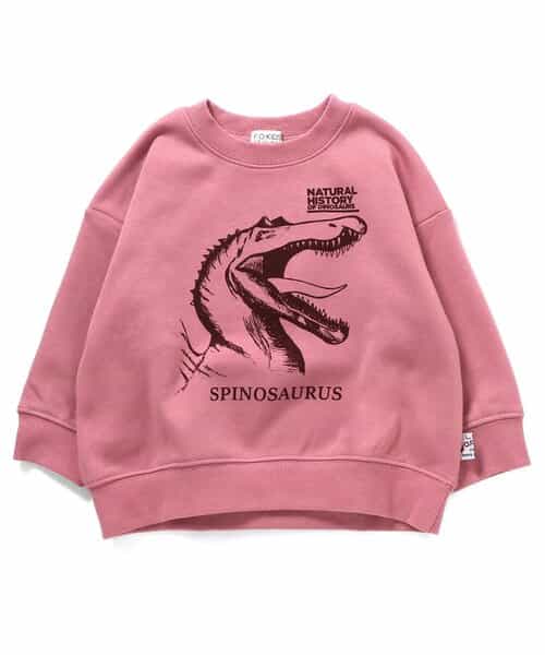 3色3柄DINOトレーナー