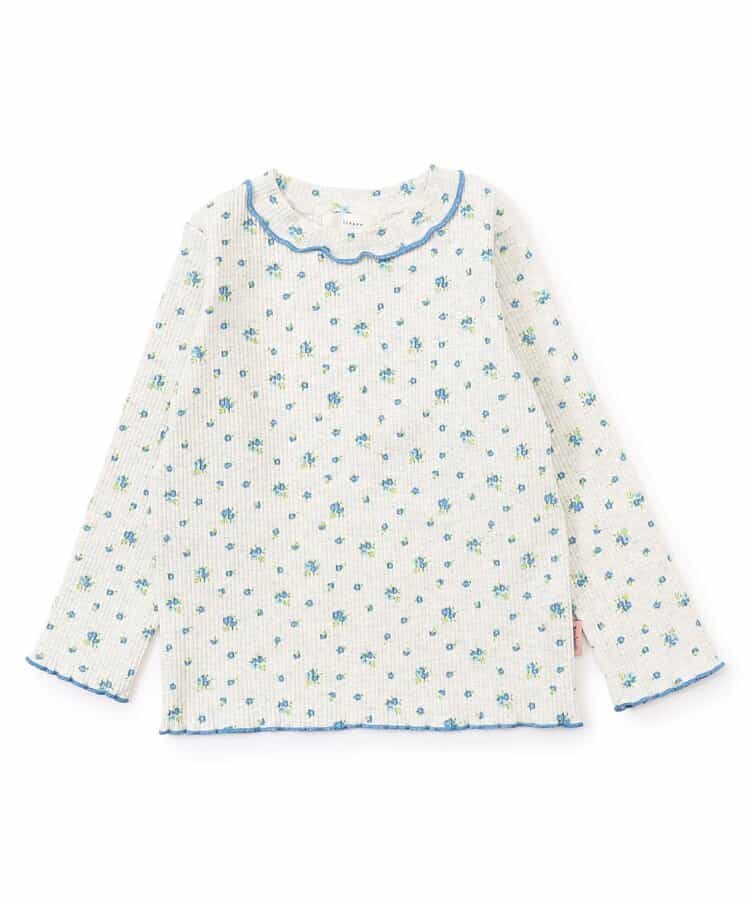 デイリーメロウトップス