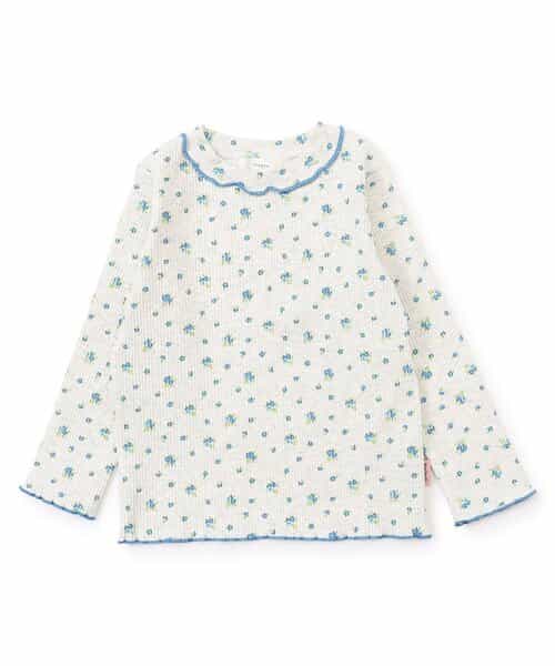 デイリーメロウトップス