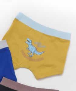 3P対象 BOYS車・恐竜バックプリントパンツ