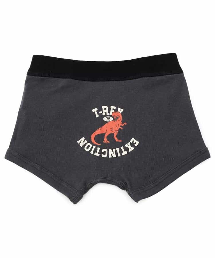 BOYS恐竜・乗り物バックプリントパンツ