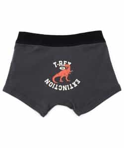 3P対象B BOYS恐竜・乗り物バックプリントパンツ