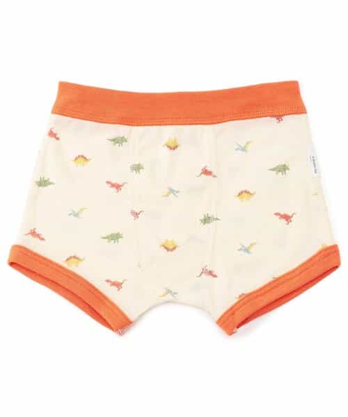 BOYS恐竜総柄パンツ