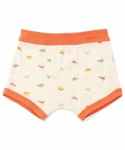 3P対象B BOYS恐竜総柄パンツ