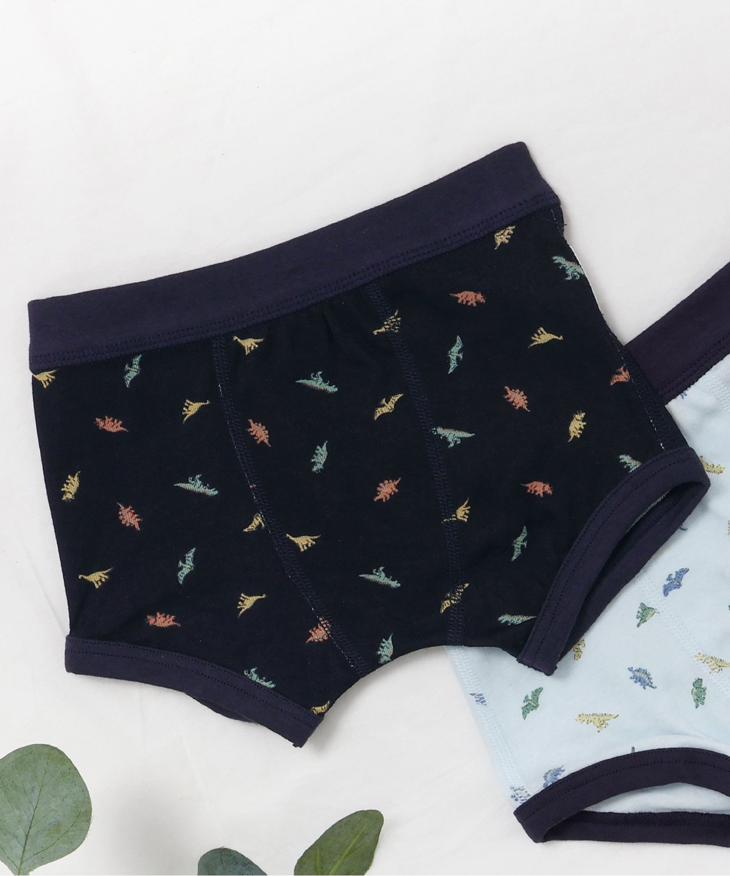 3P対象 恐竜・FOスマイルボクサーパンツ（J151025）|BREEZE（ブリーズ