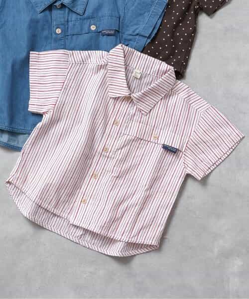 ★SALE★WEB限定 【リンク】まいにちシャツ