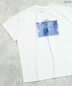 【リンク】【ディズニーキャラクター】プリンセス/アナと雪の女王 半袖Tシャツ(大人)_845010
