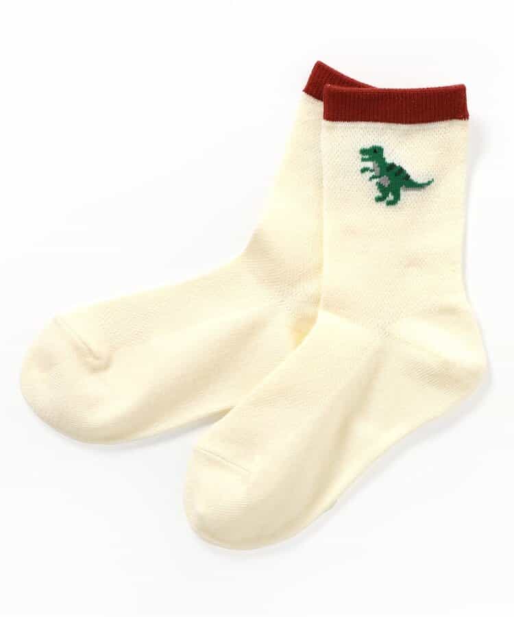 3P対象A 恐竜柄吸水速乾クルーソックス