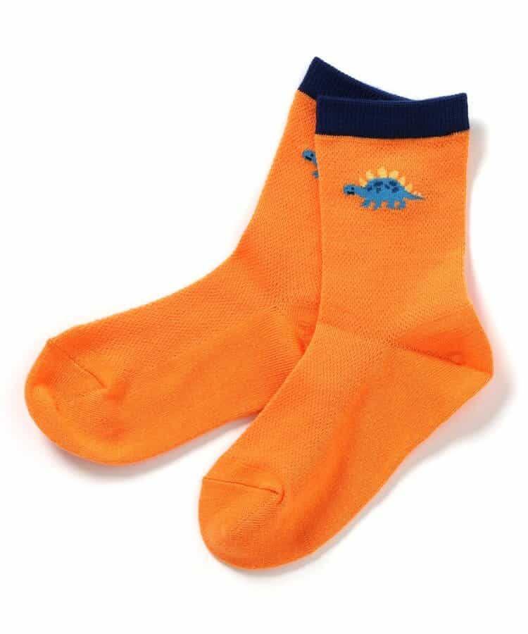 3P対象A 恐竜柄吸水速乾クルーソックス