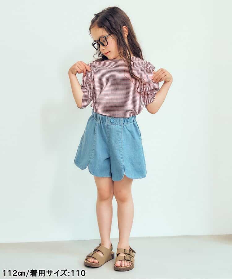 シアーレースTシャツ_931476