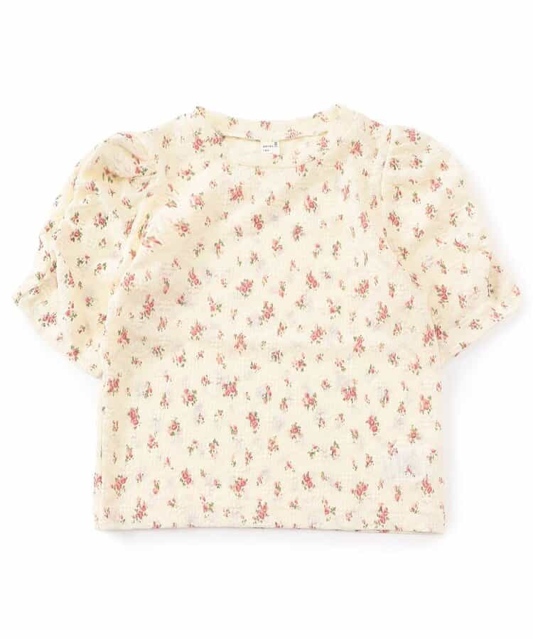 シアーレースTシャツ_931480
