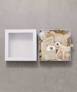 【Baby Gift Box】らいおんセット