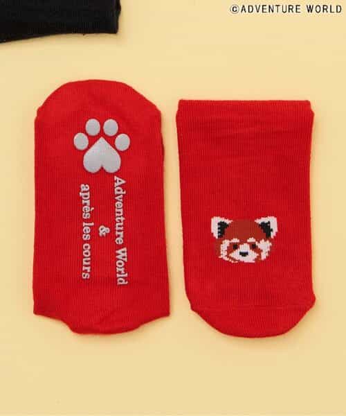 3P対象 アドベンチャーワールド/おやこソックス