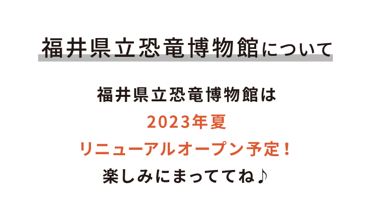 福井県立恐竜博物館について
								 福井県立恐竜博物館は2023年夏リニューアルオープン予定！楽しみにまっててね♪
