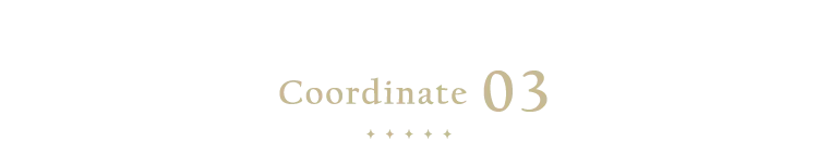 Coordinate_03